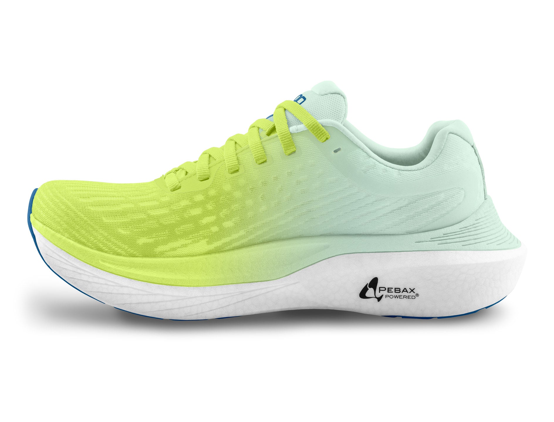 TO-000089 Green/Blue