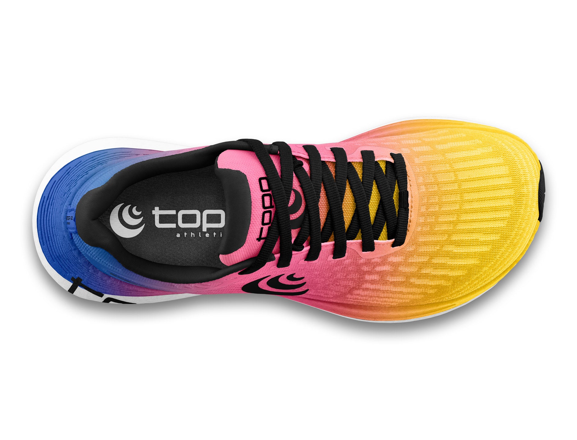 TO-000120 Purple/Black